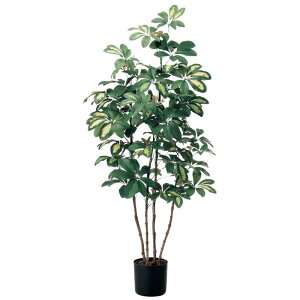 AXJ@tFCNO[ xr[VFt O[@A-50757-051A