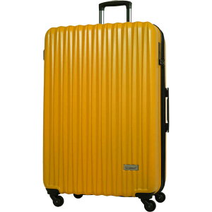 AIRWAY@e L[P[X hڈF1TԈȏ 107L TSAbN CG[@AW-0821-74-YE