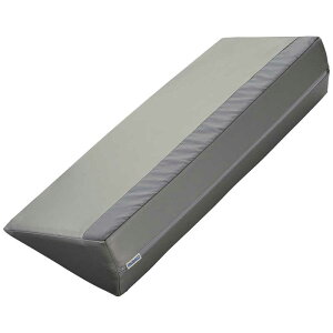 CmAbNrO@T[eBpbhPRO Ag 600 DSP-600({EXC^Cv)