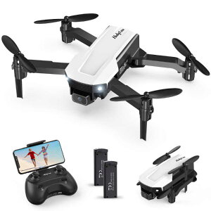 HOLYSTONE�@�h���[�� 100g���� ���󗼗p �������� �q�������@HT25