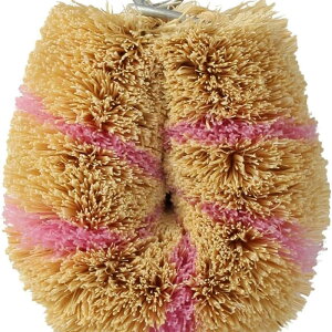 T̎qq@V}V}~j~j N (sN)@088222