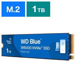 WESTERN DIGITAL@m1TB /M.2n@WDS100T4B0E