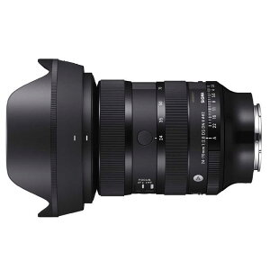 �V�O�}�@�J���������Y (�\�j�[E�p/�t���T�C�Y�Ή�)�@Art 24-70mm F2.8 DG DN II