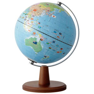 CC@E݂ȕtnV (20cm)@OYV221