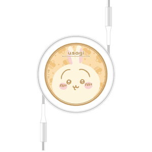 O}fB[Y@PD60W Ή USB2.0 [ Type-C P[u  @CK-49C