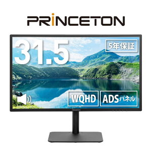 vXg@~ XCx Ή ADS pl̗p tfBXvC m31.5^ /WQHD(2560×1440) /Chn@PTF-B321QS-BK