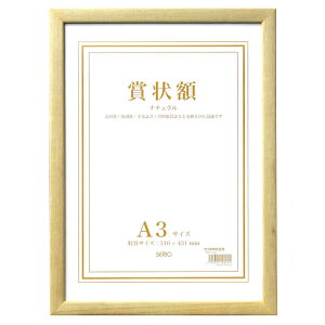 ZI@ؐ܏z A3 i`@SRO108700