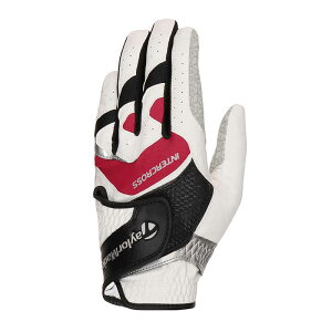 e[[ChSt@ StO[u C^[NX 6.0 [蒅p (Ełp) /21cm] zCg×bh@UN146