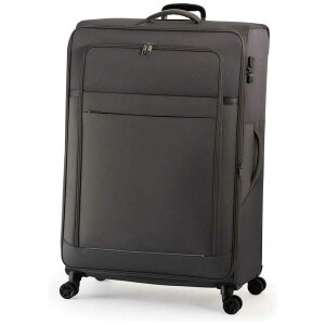 A.L.I@X[cP[X Wbp[^Cv hڈF10Ԉȏ 153L g\ _uLX^[ TRIPLAYER O[@ALP-7110-29