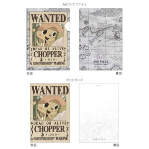 WFCG@ONEPIECEVz A6NAt@C|XgJ[hZbg `bp[@OP24TPC06