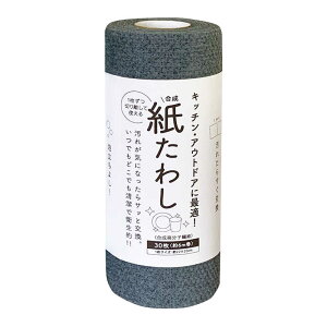 タツネ 食器洗いシート 紙たわし 30枚入 グレー tat042