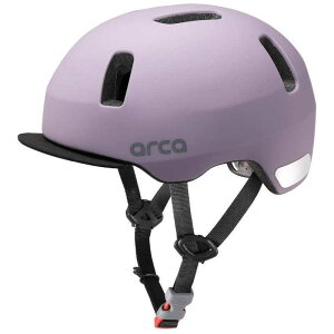 I[W[P[Jug@qpwbg AJ(XSF47`50cm) }bg[u@ARCA