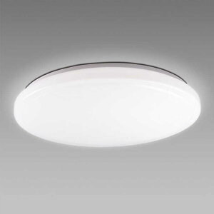 �\�@�[�C���O�@LED�Ɩ� �V�[�����O���C�g 12�� �����F ���X�g�������[�@�\ �ȒP��t �I�t�^�C�}�[�@�\ �����R���t���@LDCY12D49S1