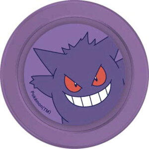 �O���}���f�B�[�Y�@CHIP-POP �|�P�b�g�����X�^�[ �Q���K�[�@POKE-945B