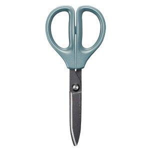 RN@nT~ tbfO[Xn HSM-PFA100B SAXA(TNT) u[@HSMPFA100B