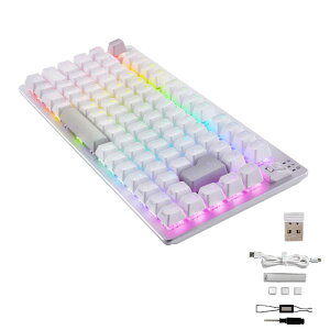 GR@ELECOM@Q[~OL[{[h jA Ԏ JjJ L[{[h 75TCY {z RGB EP[u eL[X V custom zCg@TKVK520LWH