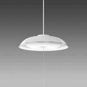 Xd@LEDƖ y_gCg 4.5 F@PE-1011CL-HK