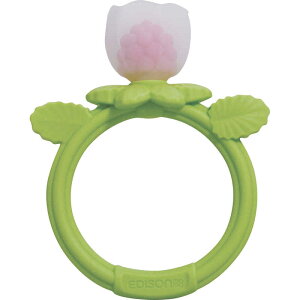 GW\̔@J~J~Baby ԍ炭Yx[