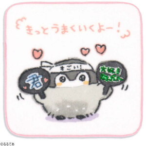 ^Ipف@REy  ^InJ`(25×25cm) sN