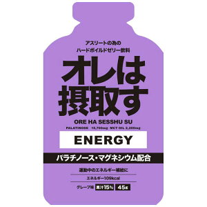 _Cg[Y@I͐ێ悷 GlM[WF(45g) O[v@311200