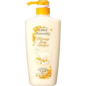 ANVX@CB[ {fBVv[ ؍ 500ML