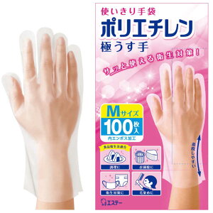 GXe[@g |G` ɂ MTCY 100 G{X(ʉ)H Ep^Cv