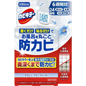 W\@JrL[ CɒuhJrWF ₳t[̍ { 8mL