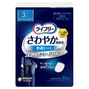 j`[@Ct[ ₩jpKV[g 3cc 22