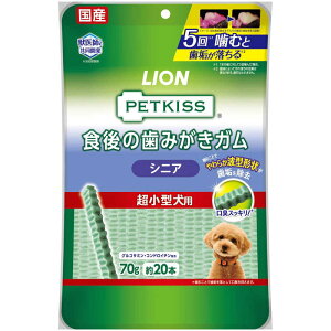 CIybg@PETKISS H݂̎K VjA ^p 20{