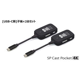 プリンストン　4K対応ワイヤレスUSB-C to HDMI SPCastPocket4K ブラック　SPCASTPOCKET4K-C1SET