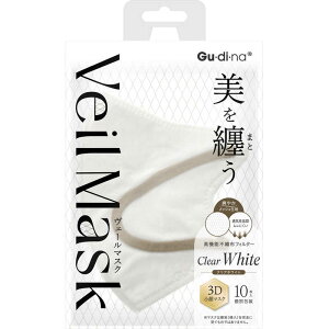 Rʏ@GuEdiEna F[}XN NAzCg 10