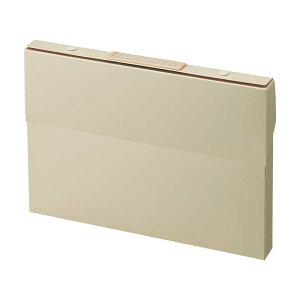 qgu@Roomy P[Xt@C A4 x[W Rs[p300@A799-16