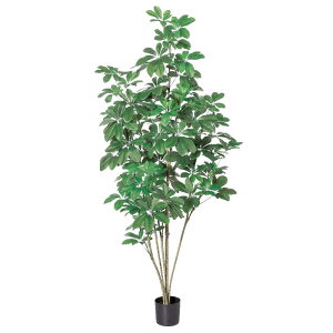 AXJ@tFCNO[ VFt O[@A-50859-051A