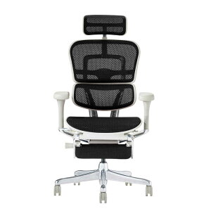 �G���S�q���[�}���@�G���S�q���[�}�� Ergohuman �V��Ճ��f�� �G���S�q���[�}��2 �v���I�b�g�}�� �O���[�t���[�� EHP2-LPL-DR-GF-BK �u���b�N�@445401