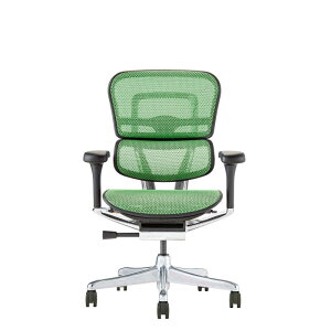 GSq[}@GSq[} Ergohuman VՃf GSq[}2 v[^Cv ubNt[ EHP2-LAM-DR-BF-GN O[@445420