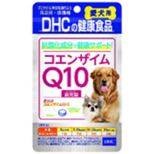 DHC@RGUCQ10Ҍ^(60)kybgpNHil