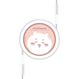 O}fB[Y@PD60W Ή USB2.0 [ Type-C P[u @CK-49A