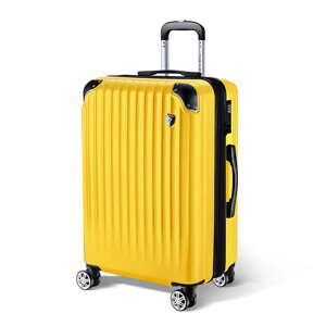 NEWTRIP�@���y�ʃX�[�c�P�[�X �g���@�\�t�� 0201 S�T�C�Y �h���ڈ��F1���`3�� [TSA���b�N���� / 40L] �C�G���[�@NT-L0201
