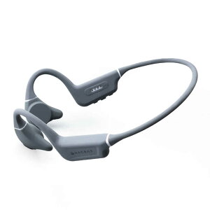 HACRAY SeaHorse 2 Hacray ブラック HR27168