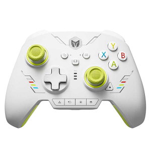 BIGBIGWON@Q[Rg[[ Windows PC/ Switch/ iOS/ Android Ή / L@RAINBOW 2 SE Green