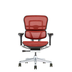 GSq[}@GSq[} Ergohuman VՃf GSq[}2 v[^Cv ubNt[ EHP2-LAM-DR-BF-RD bh@445418