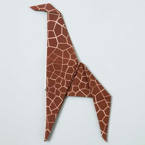 Éዾ@Kl@ peti peto(vb`ybg) L@PP-08