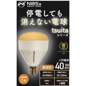 NIHONBOUSAISCHEMESIN@coconimo tsuita dF mE17 /ʓd` /dFn@E17OR50WS