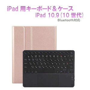 ROYALMONSTER�@10.9�C���` iPad(��10����)�p �L�[�{�[�h(���ȗL��)���P�[�X RG BK�@RM-4032iRGB-Case