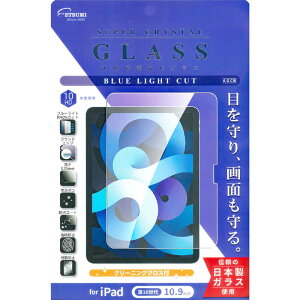 エツミ 10.9インチ iPad(第10世代)用 液晶保護ガラス ブルーライトカット V-82746