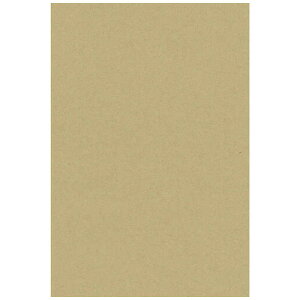 TTK@GCeBuJ[h ͂TCY Ntg 100@163151