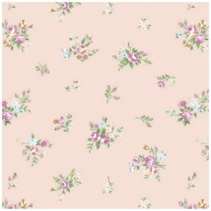 TTK@ fB[Y S 4902501@492501