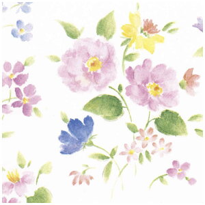 TTK@ ԂÂ S 4902521@492521