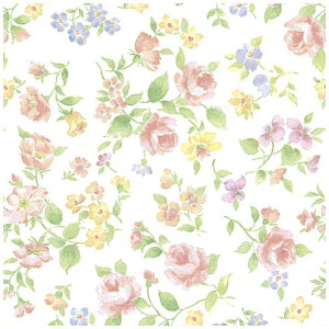 TTK@ }lXN S 4902560@492560