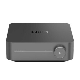 WIIM　Amp Pro Dark Gray ダークグレー　WIM-WAMPPRO-DG